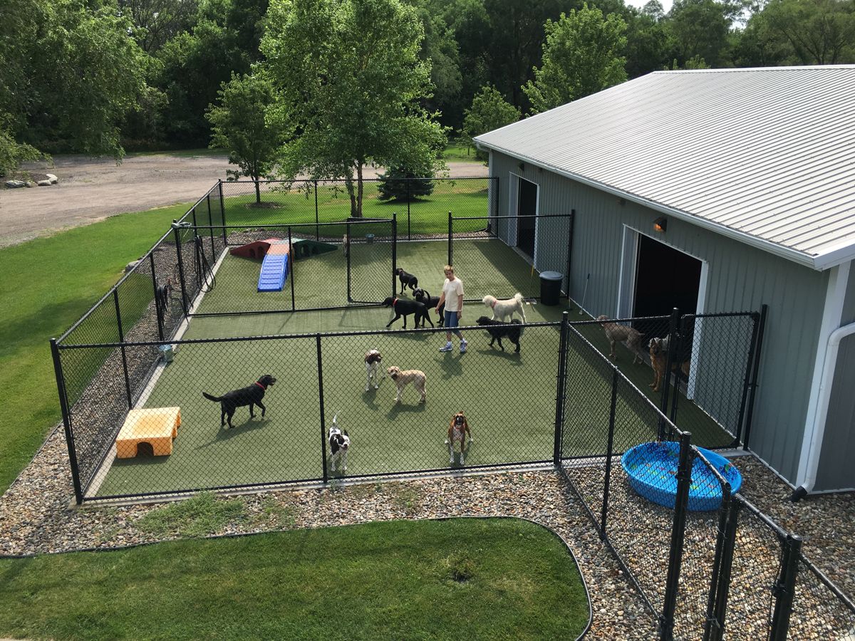 Dogs playing in Cottonwood Pet Resort's turf play yard beside the resort building, surrounded by trees