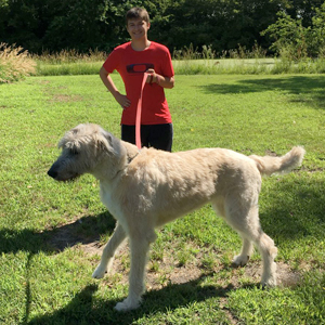 A dog on the resort's nature walk trail